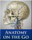 Icon: Anatony on the Go (ModalityBody)